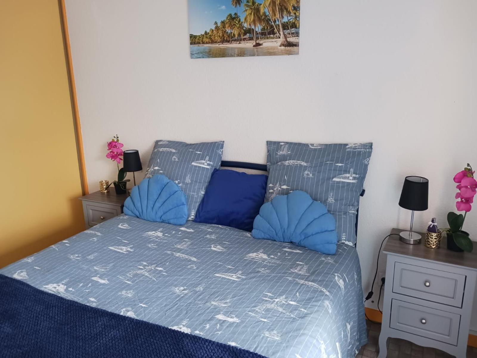 Appartement T2 Vue Mer Et Port,2 Balcons, Parking Prive Кане-ан-Руссійон Екстер'єр фото